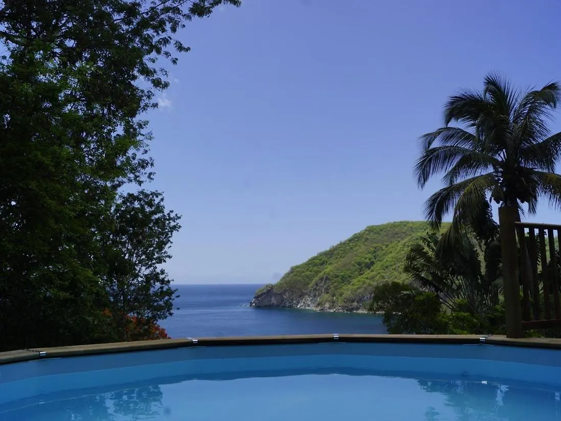 Villa Palma Avec Vue Mer Et Piscine Privee Location Domaine De La Pointe Batterie A Deshaies